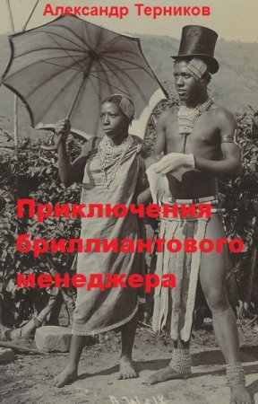 Приключения бриллиантового менеджера. Александр Терников